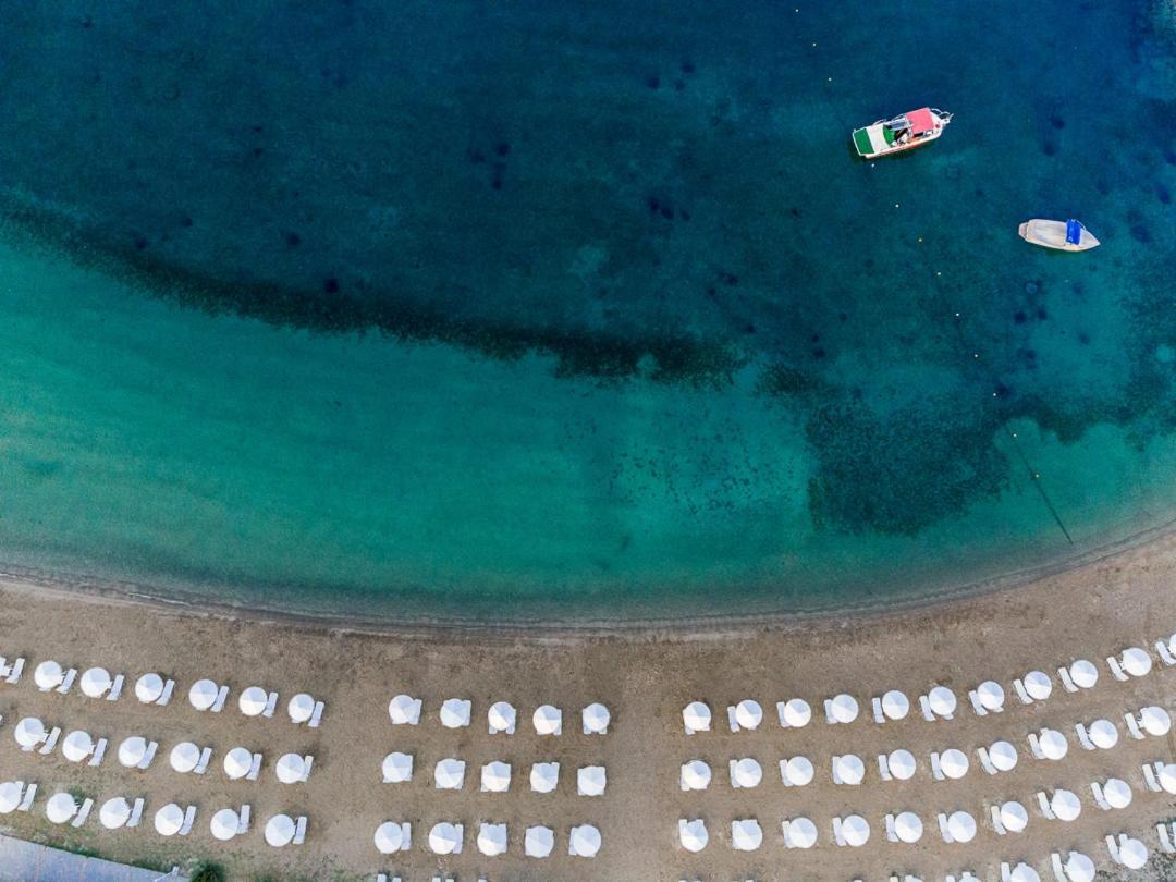 Palmariva Beach Hotel إريتريا المظهر الخارجي الصورة